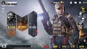 使命召唤最新爆料手游,极致射击体验,引领战场新纪元!