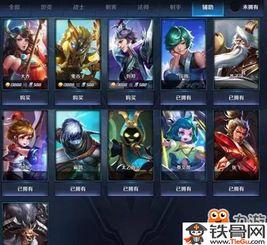 王者皮肤爆料最新截图,惊艳截图抢先看,神秘英雄即将登场!