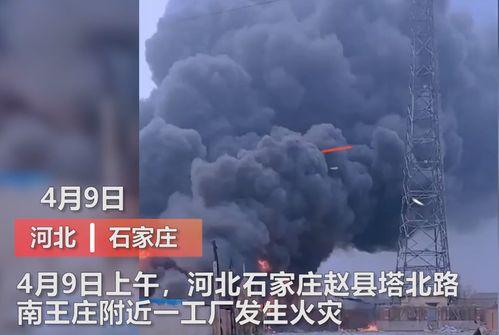 石家庄工厂爆料视频最新,揭秘生产线背后的故事