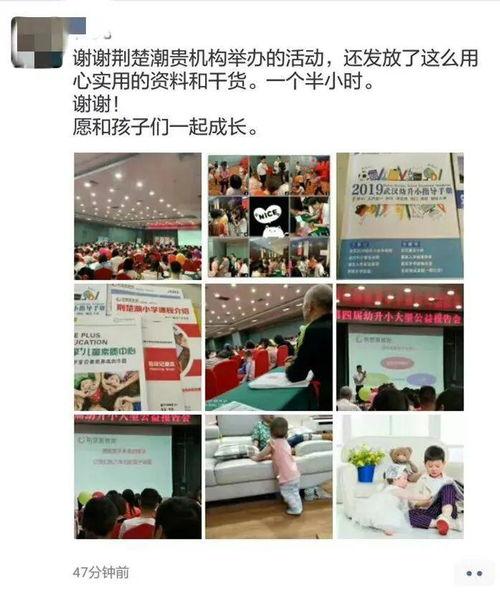 碧波庭最新爆料,揭秘神秘产品背后的科技力量与市场前景